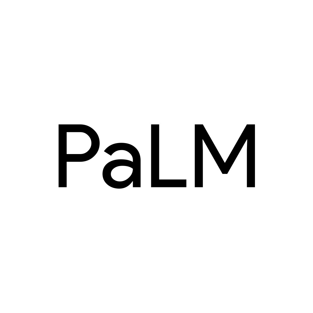 PaLM Text icon