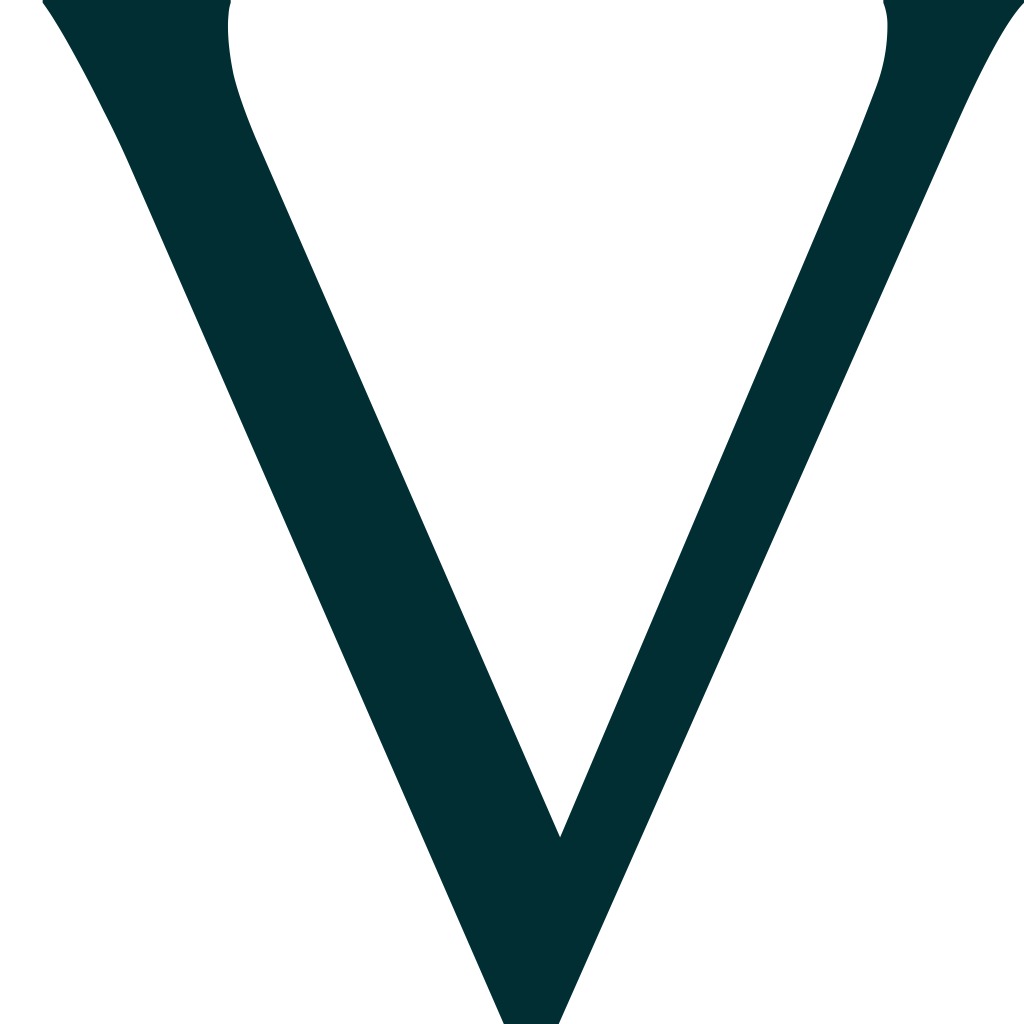 Voyage AI